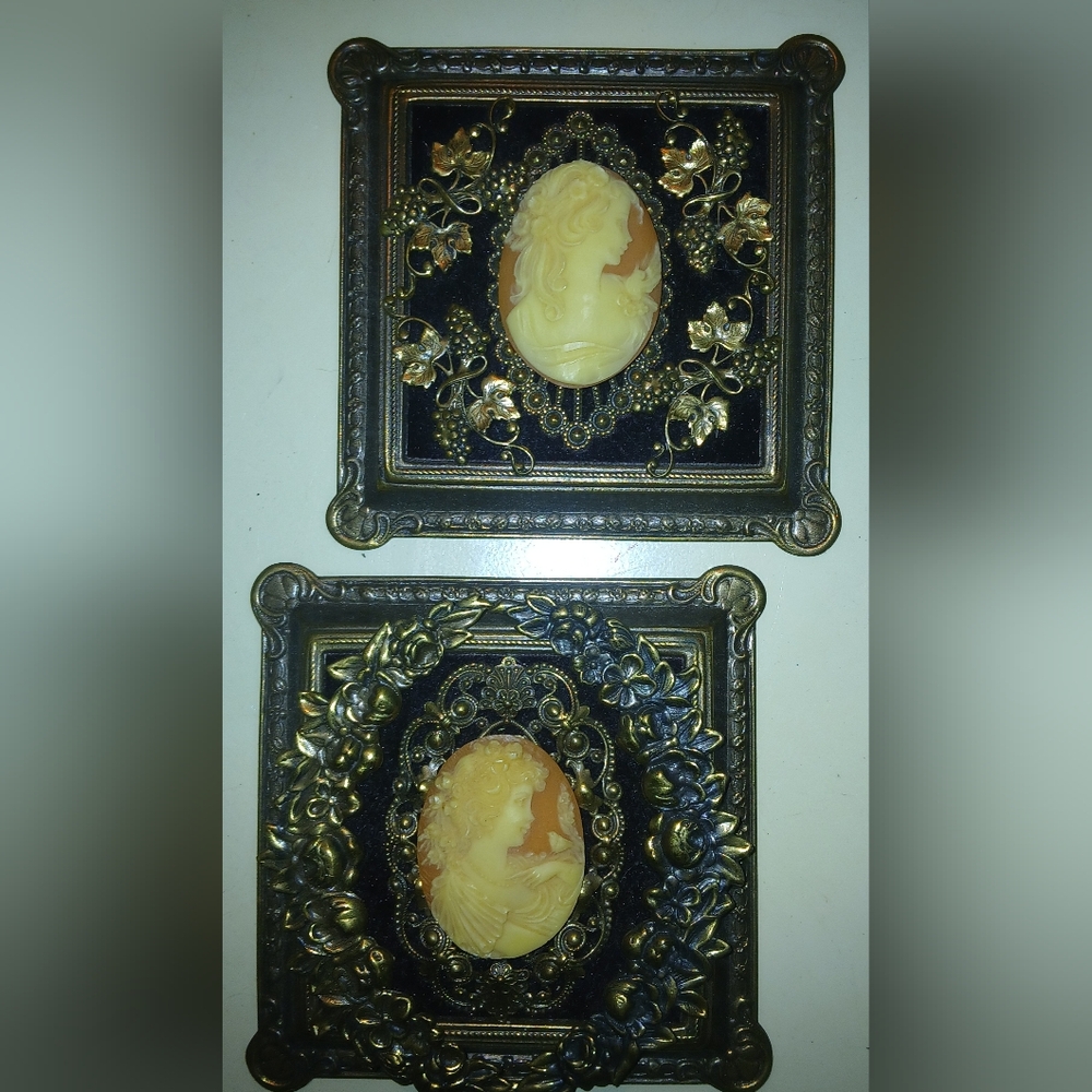 Framed Cameo Lacy Lady Victorian Scrolled Floral Design Brass Frame